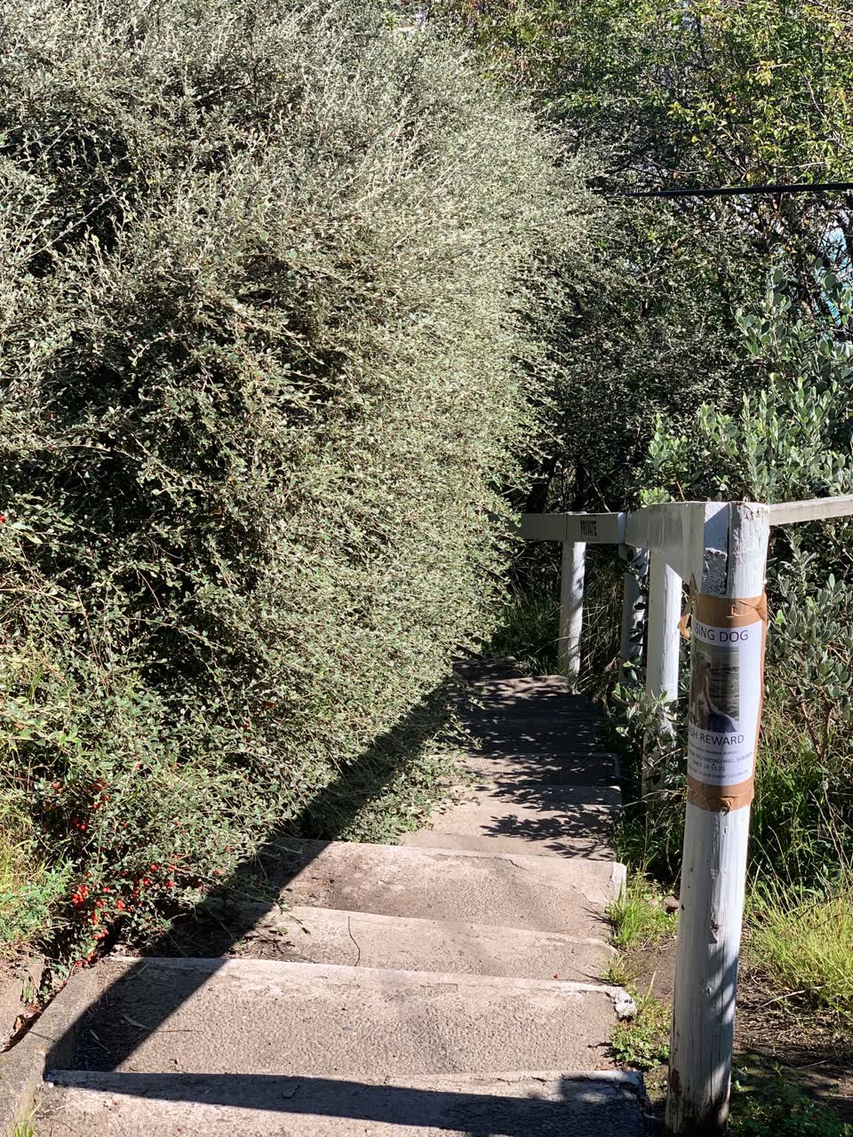 The photograph attached to this parks report