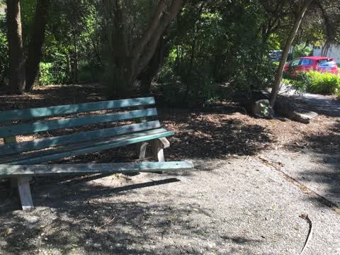 Parks, a report photo