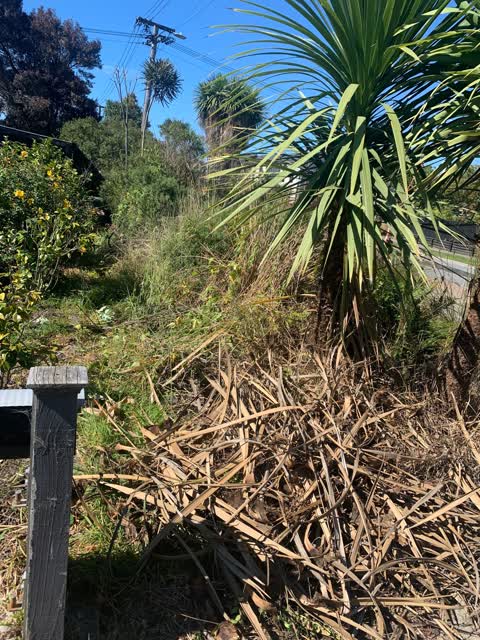 Roading/Streets, a report photo