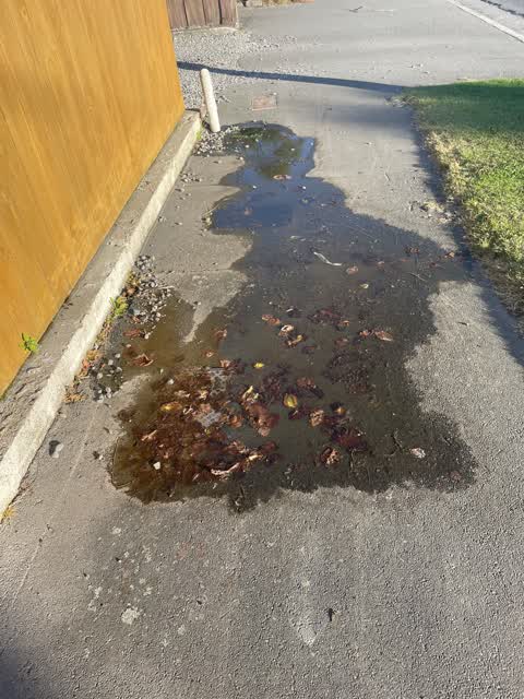 Flooding, a report photo