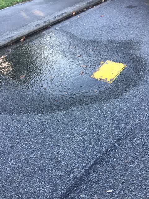 Water Leak, a report photo