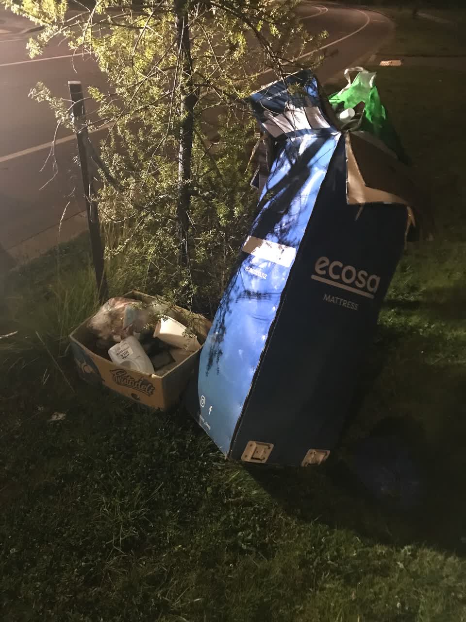 The photograph attached to this rubbish/recycling report