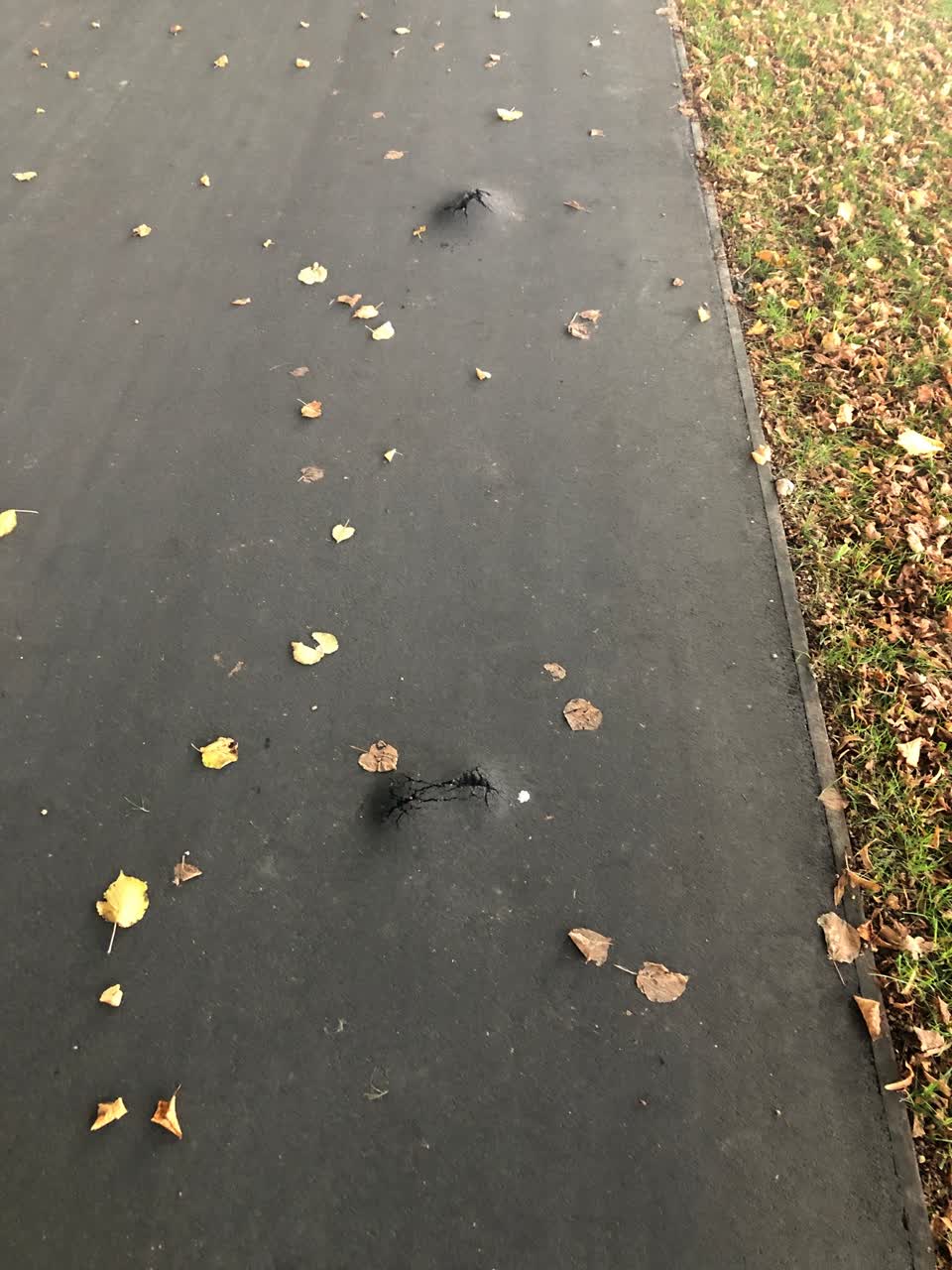 The photograph attached to this parks report