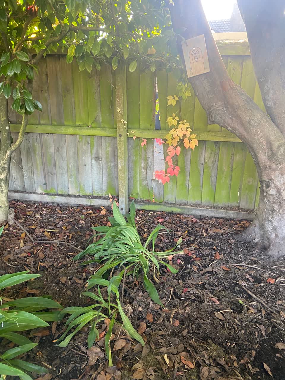 The photograph attached to this parks report