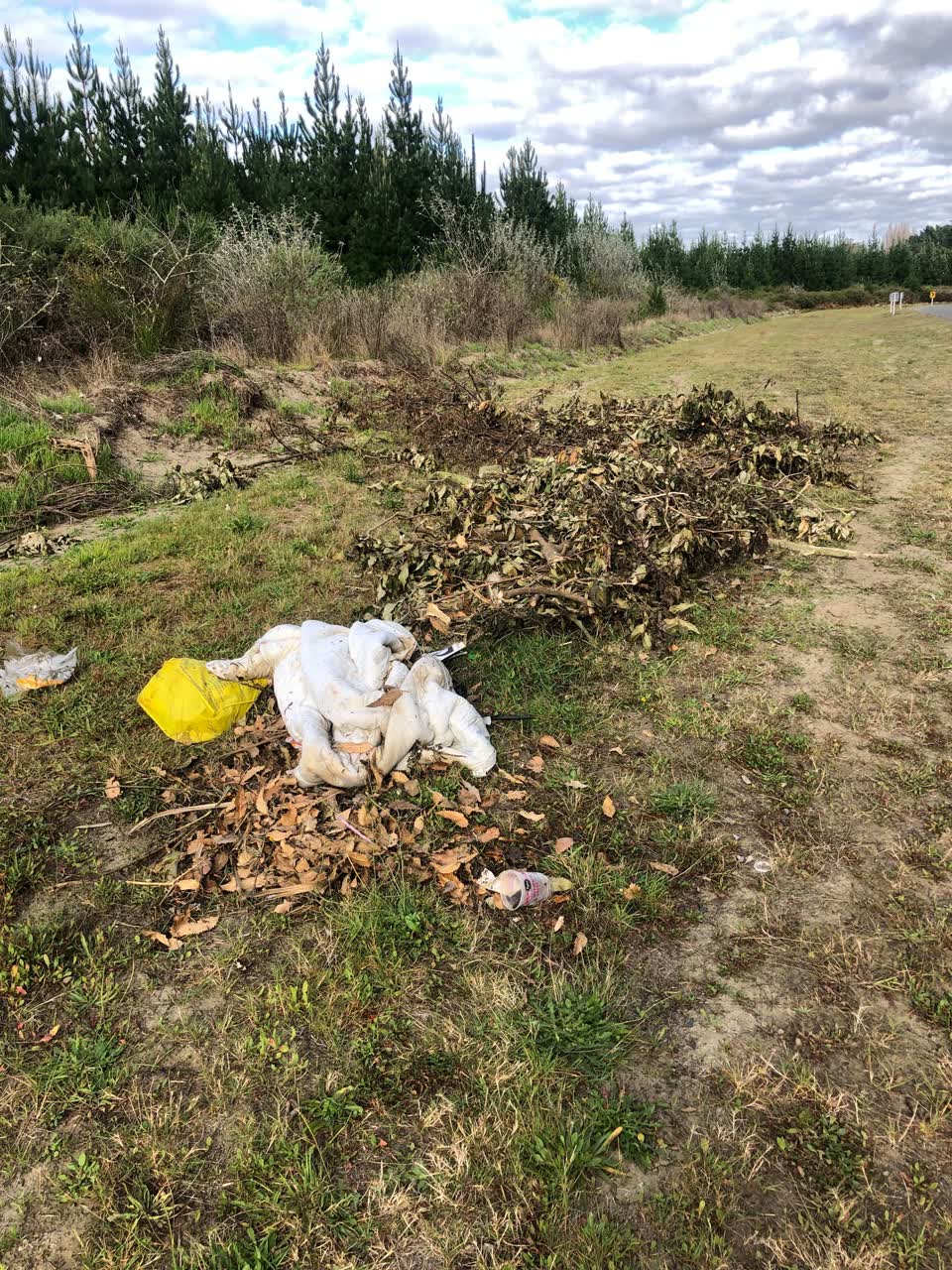 The photograph attached to this rubbish/recycling report
