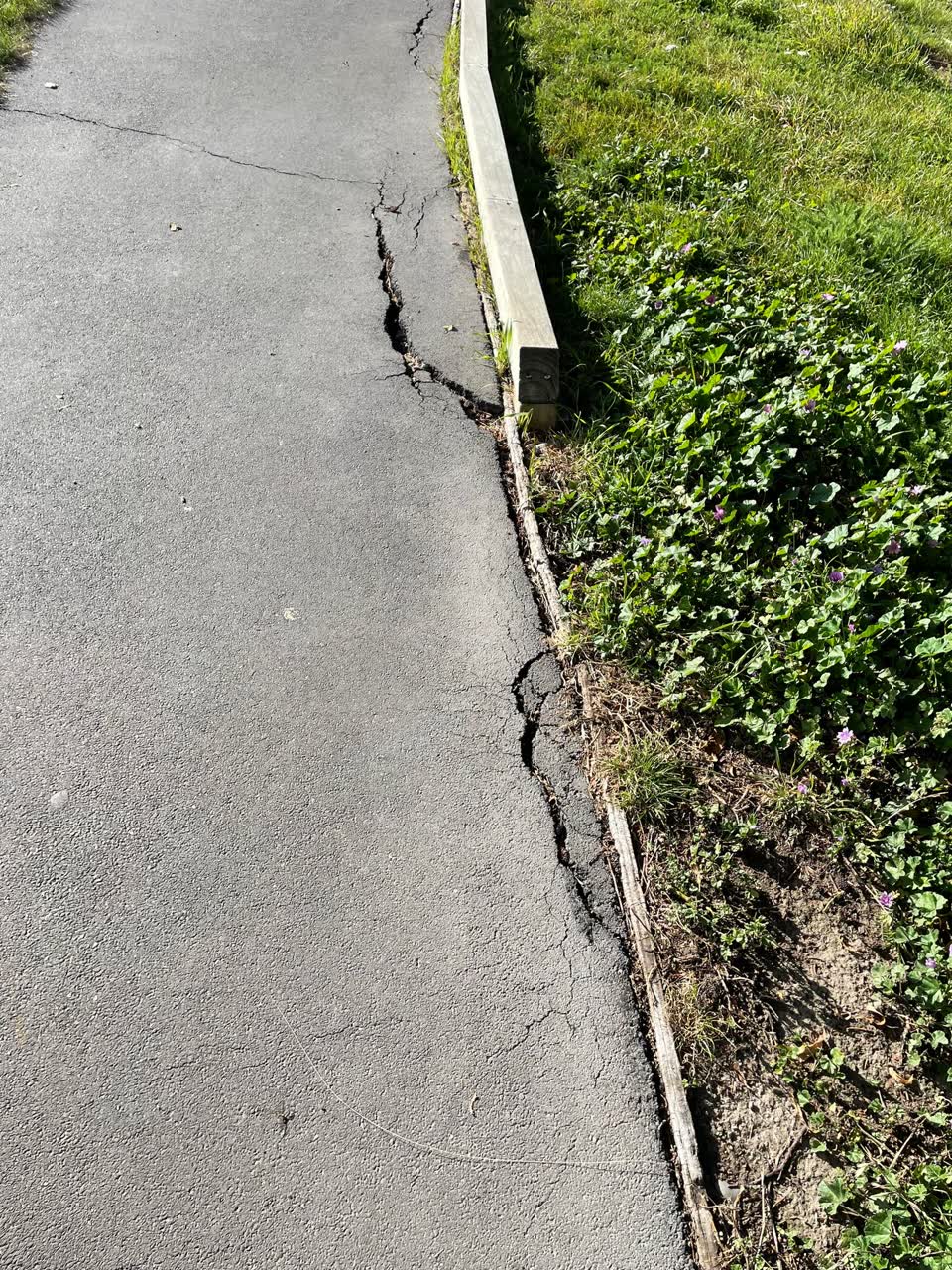 The photograph attached to this parks report