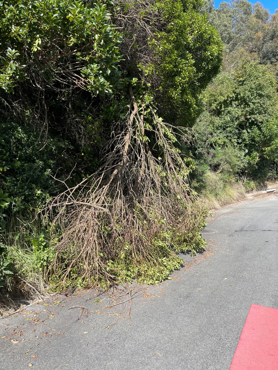 The photograph attached to this roading/streets report