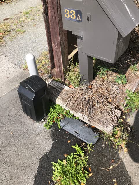 Water Leak, a report photo