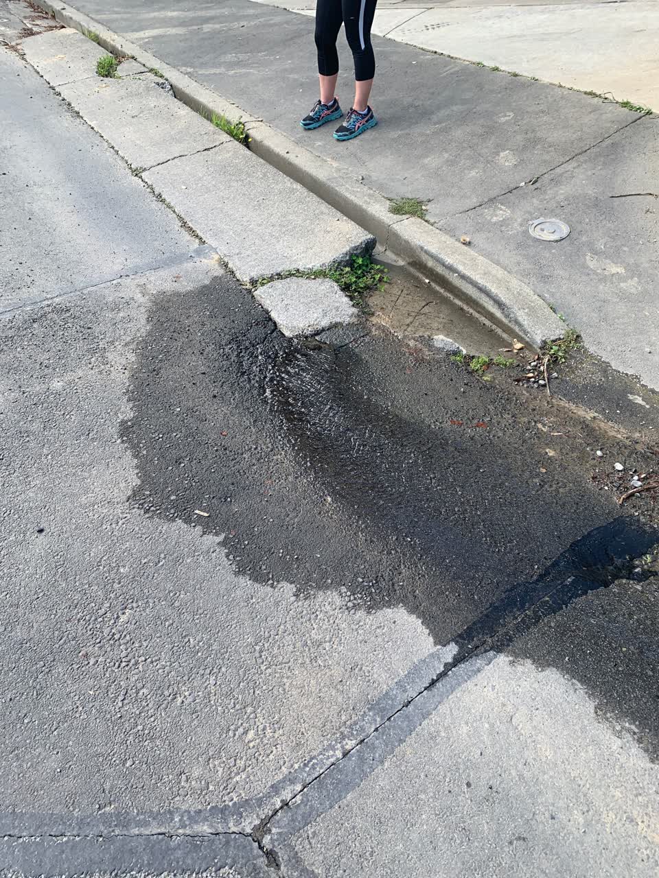 The photograph attached to this water leak report