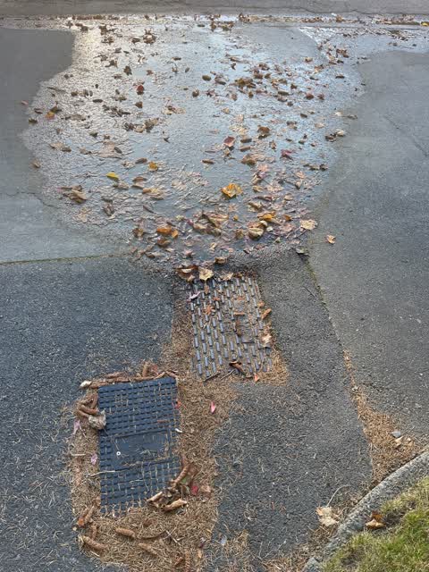 Water Leak, a report photo