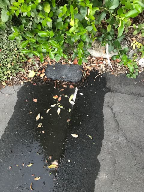 Water Leak, a report photo