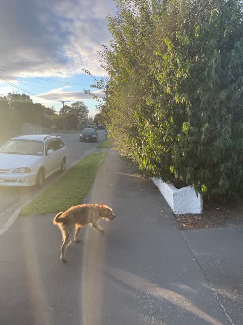 Roading/Streets, a report photo
