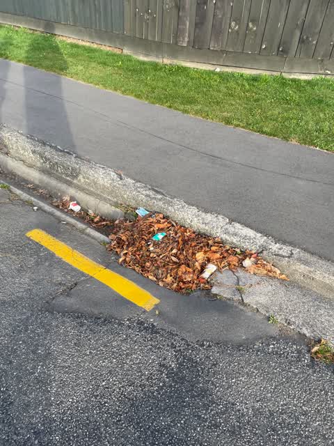 Roading/Streets — a report photo