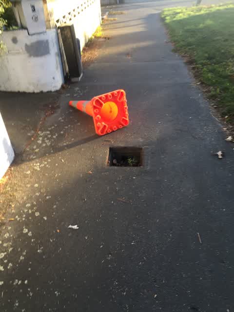 Roading/Streets — a report photo