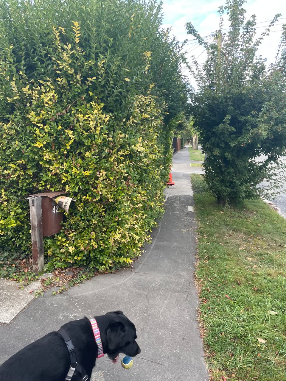 The photograph attached to this roading/streets report