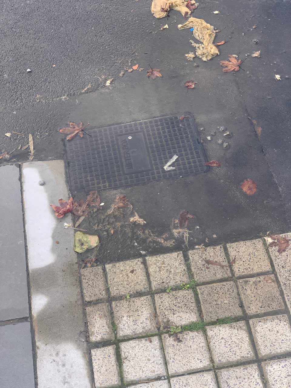 The photograph attached to this water supply report