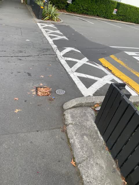 Roading/Streets, a report photo