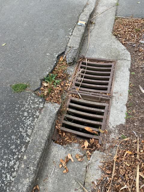 Roading/Streets, a report photo