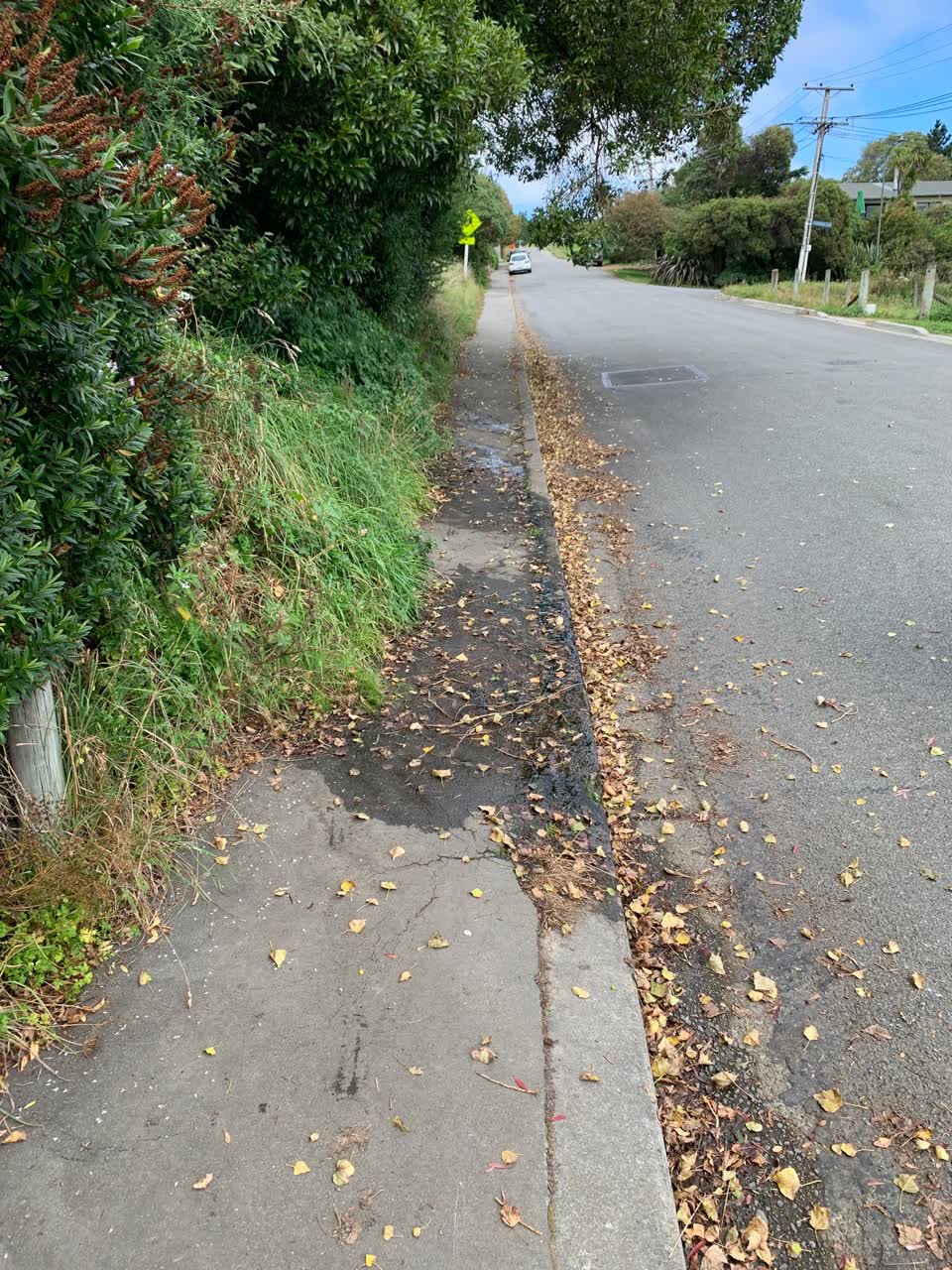 The photograph attached to this roading/streets report