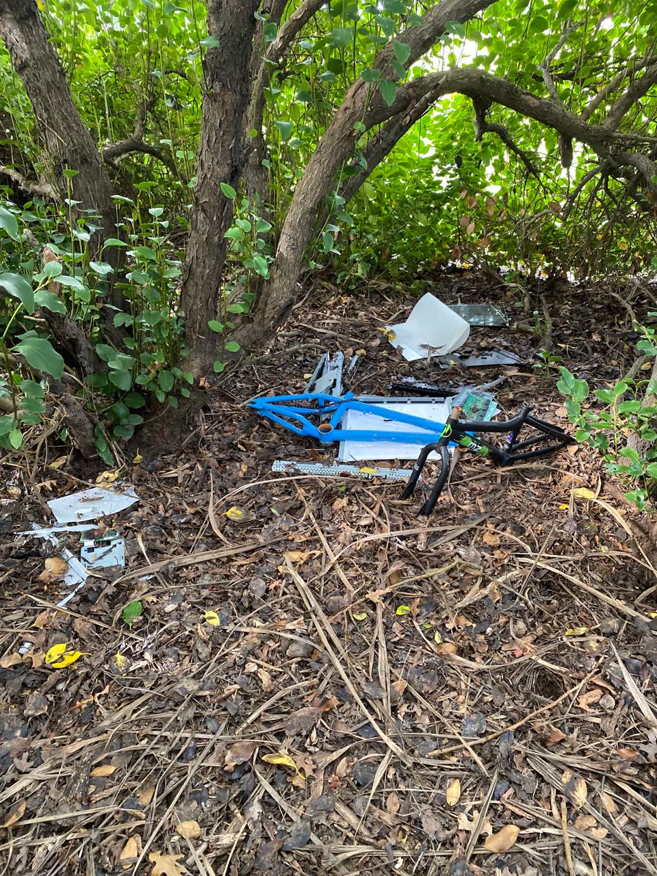 The photograph attached to this rubbish/recycling report