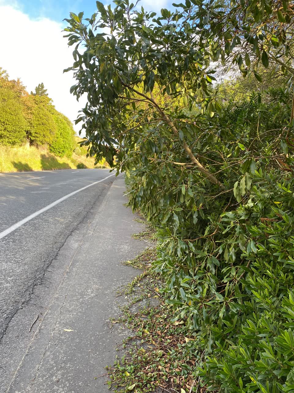 The photograph attached to this roading/streets report