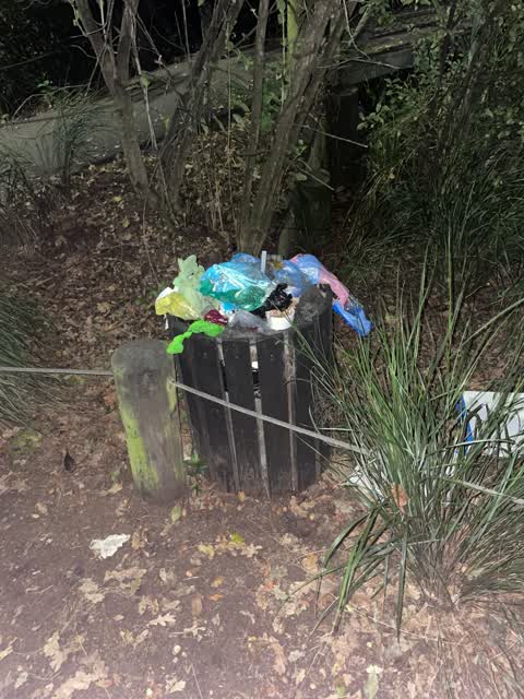 Rubbish/Recycling, a report photo