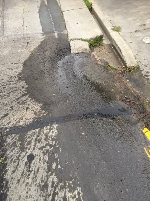 Roading/Streets, a report photo