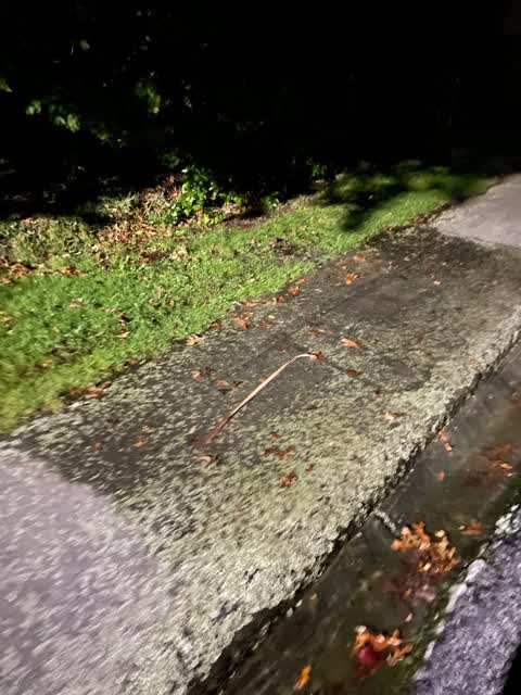 Water Leak, a report photo