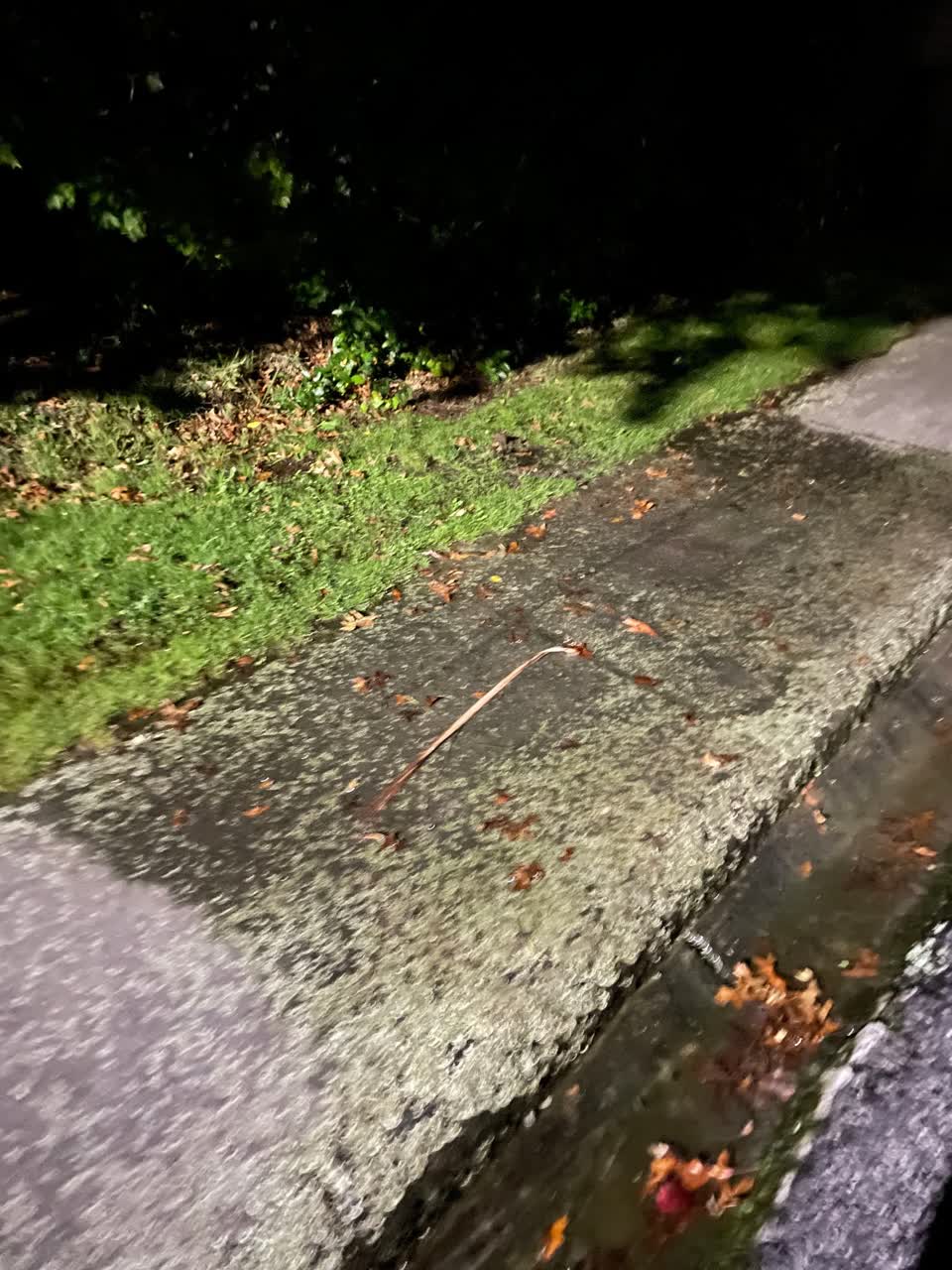 The photograph attached to this water leak report