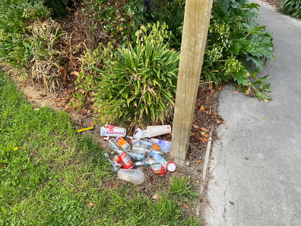 The photograph attached to this parks report