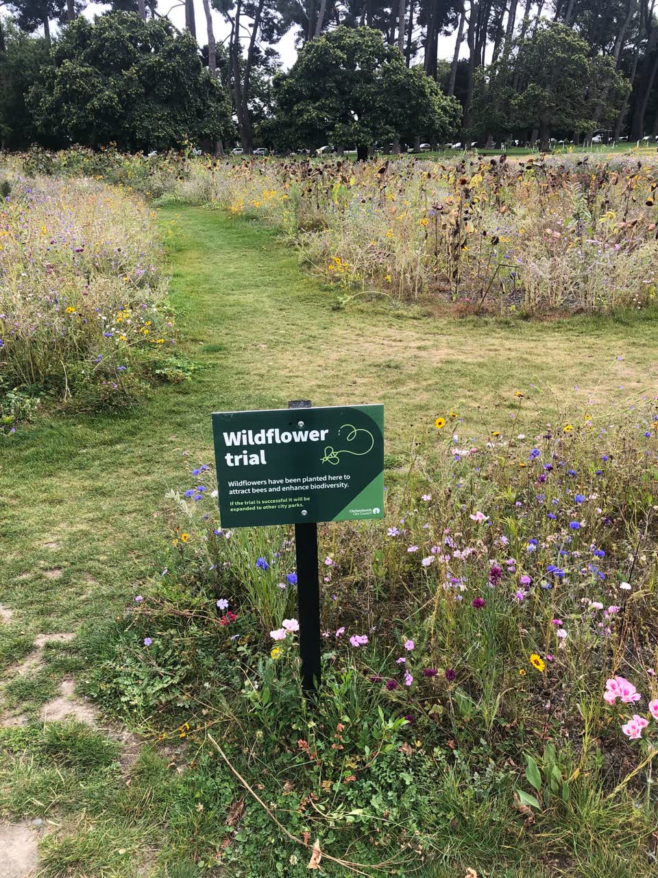 The photograph attached to this parks report