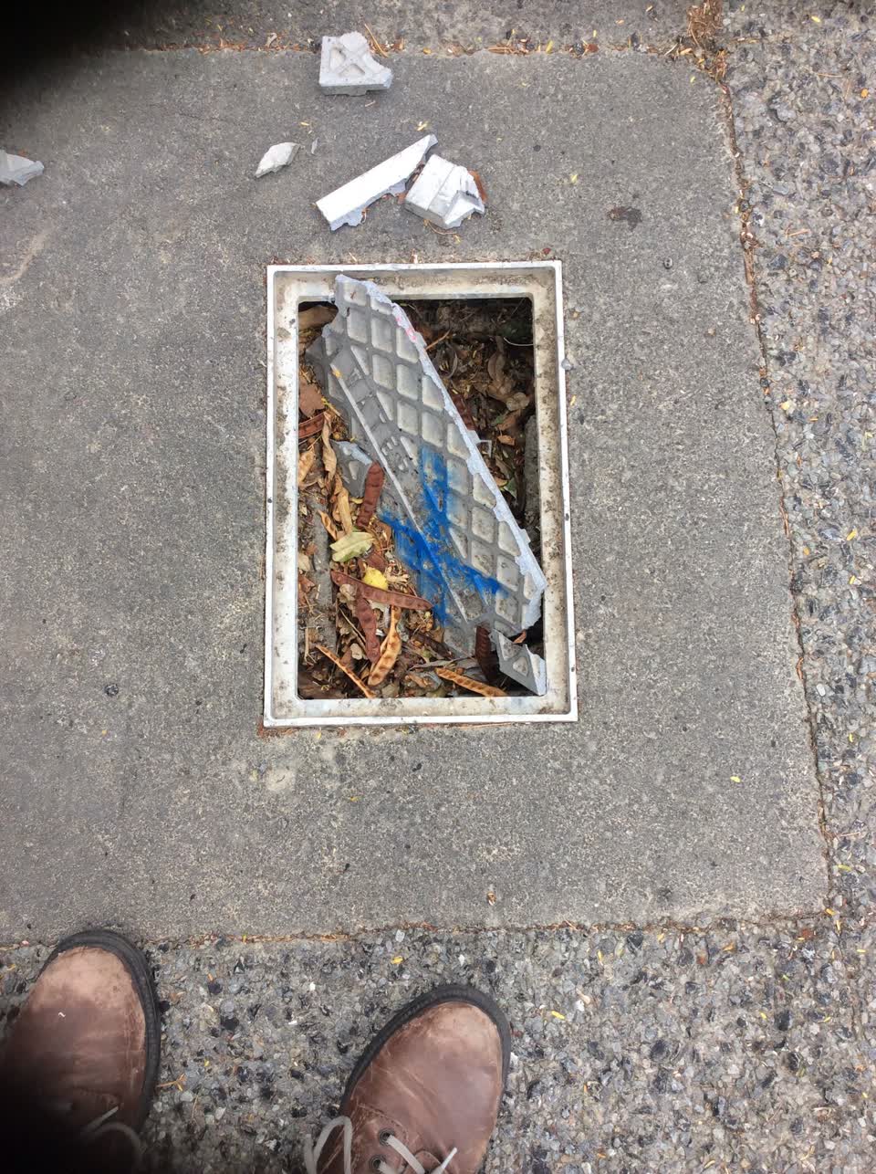 The photograph attached to this water supply report