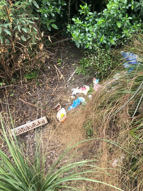 Rubbish/Recycling, a report photo
