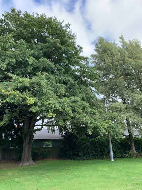 Parks, a report photo