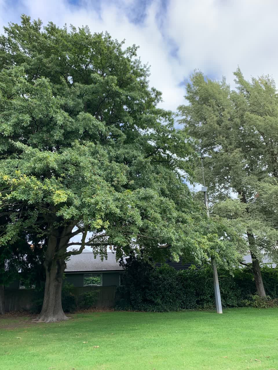 The photograph attached to this parks report
