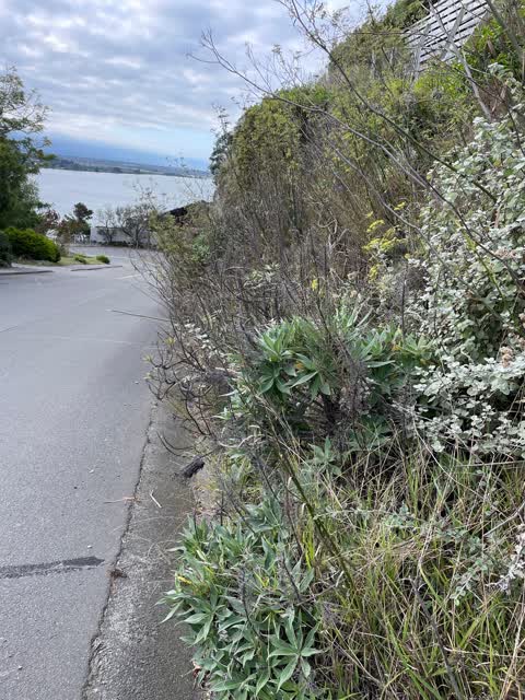Roading/Streets, a report photo