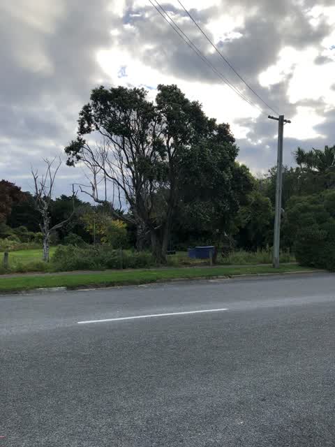 Parks, a report photo