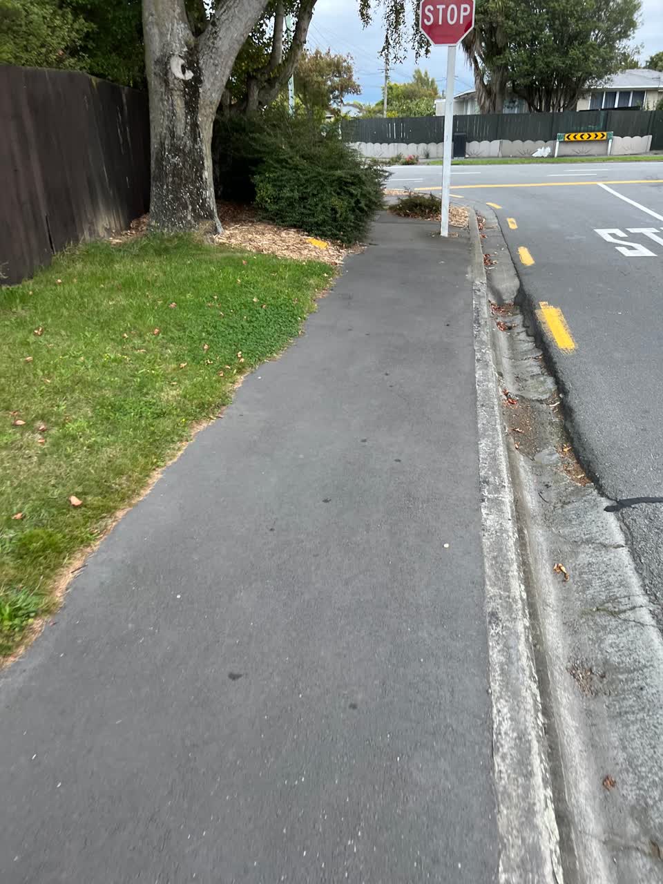 The photograph attached to this roading/streets report