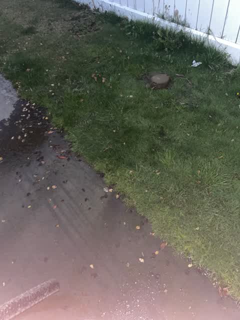 Water Leak, a report photo
