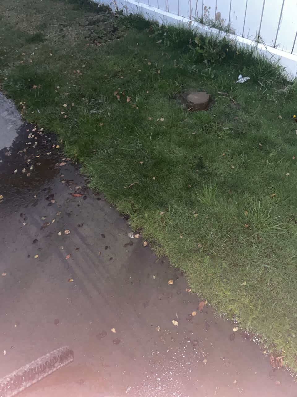 The photograph attached to this water leak report