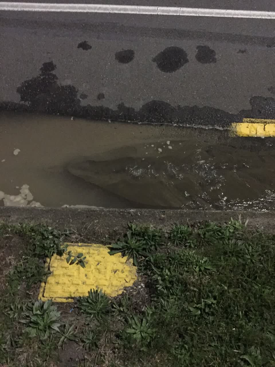 The photograph attached to this water leak report