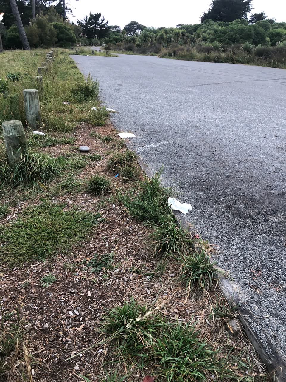 The photograph attached to this parks report