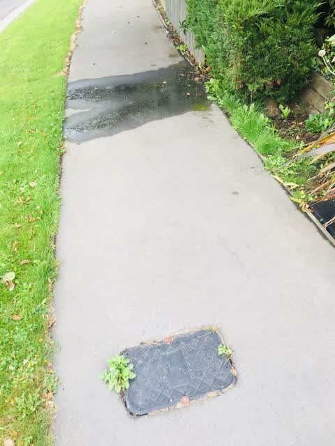 Water Leak, a report photo