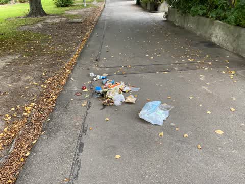 Rubbish/Recycling, a report photo