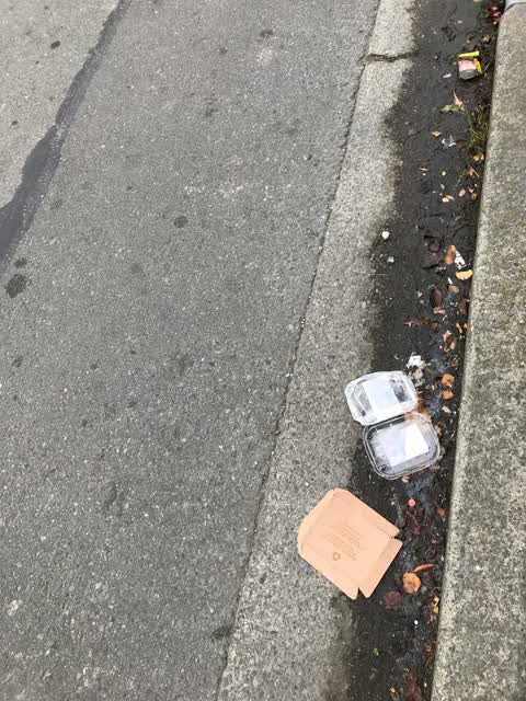 Rubbish/Recycling, a report photo