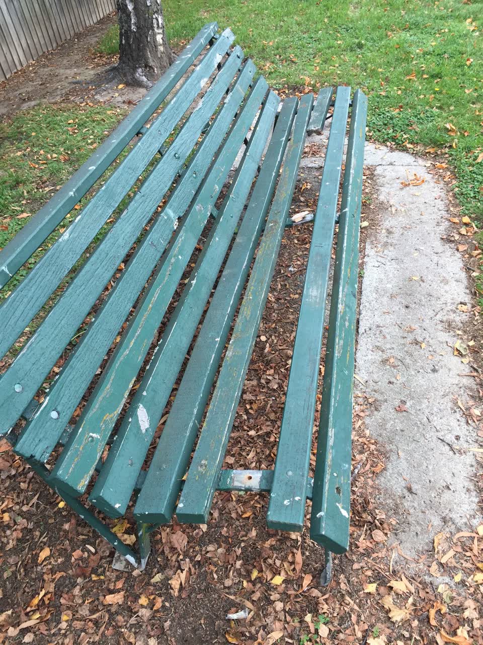 The photograph attached to this parks report