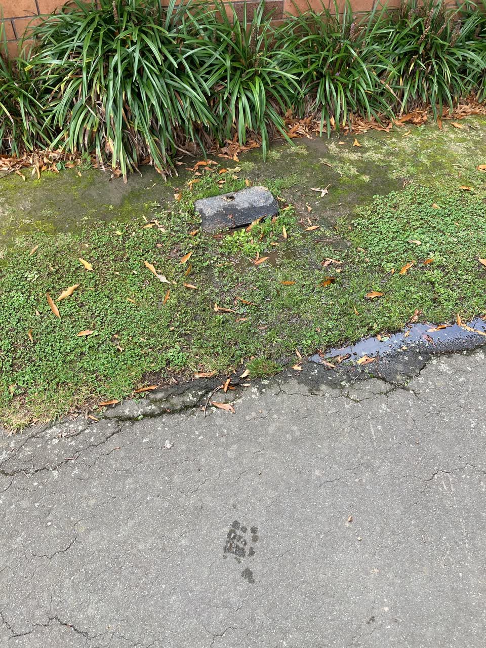 The photograph attached to this water leak report