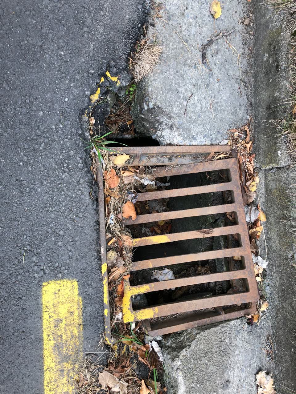 The photograph attached to this roading/streets report