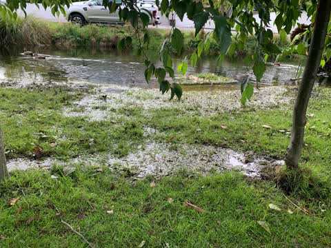 Flooding, a report photo