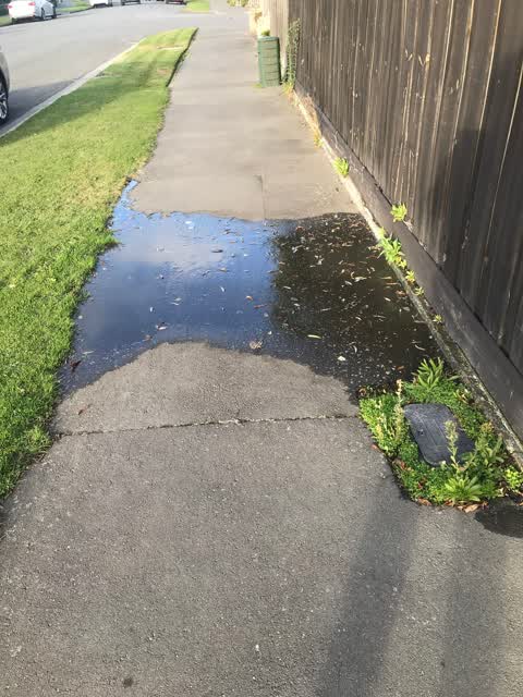 Water Leak, a report photo